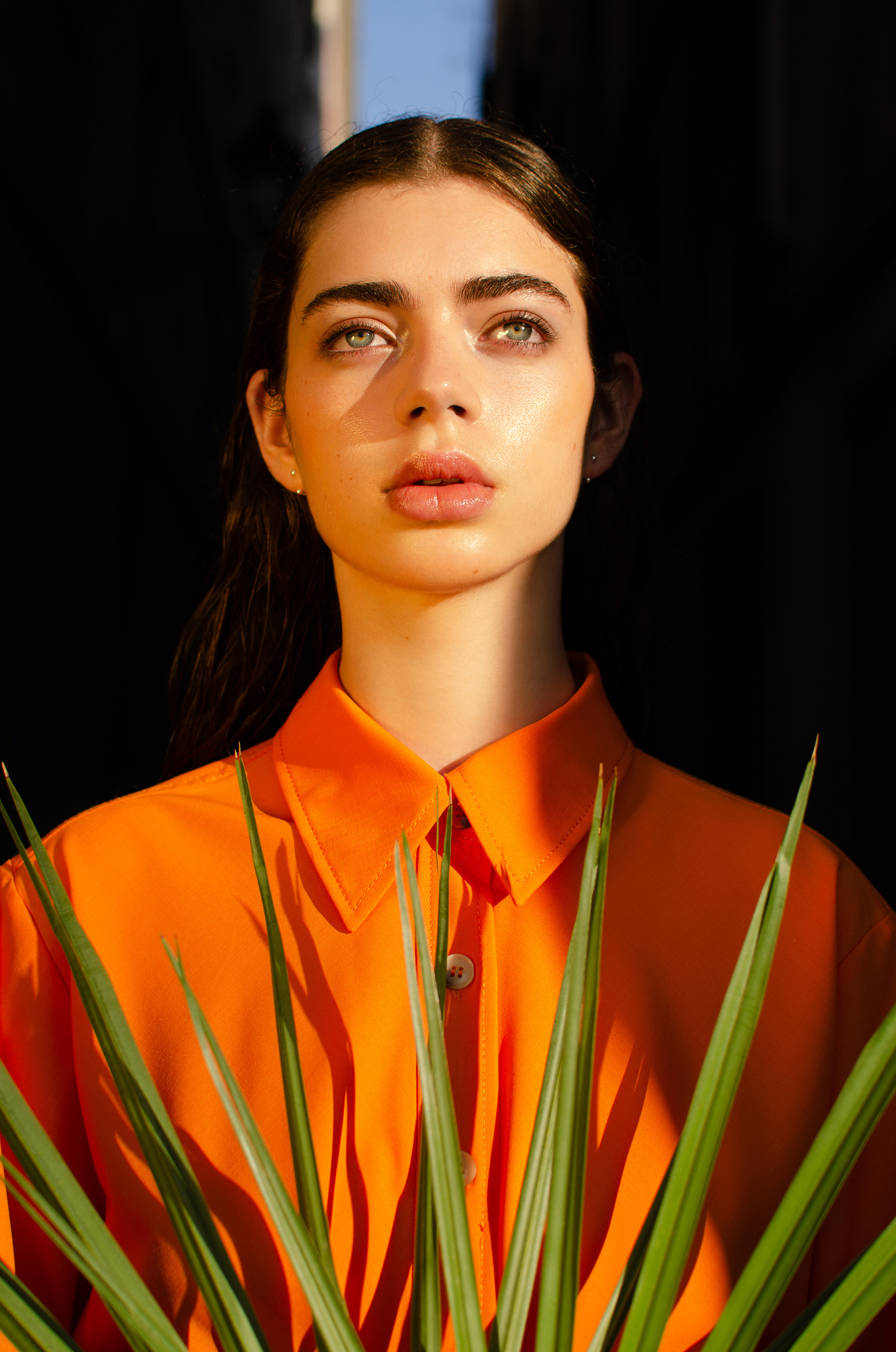 Divinity Descended classic fashion editorial frame 01
