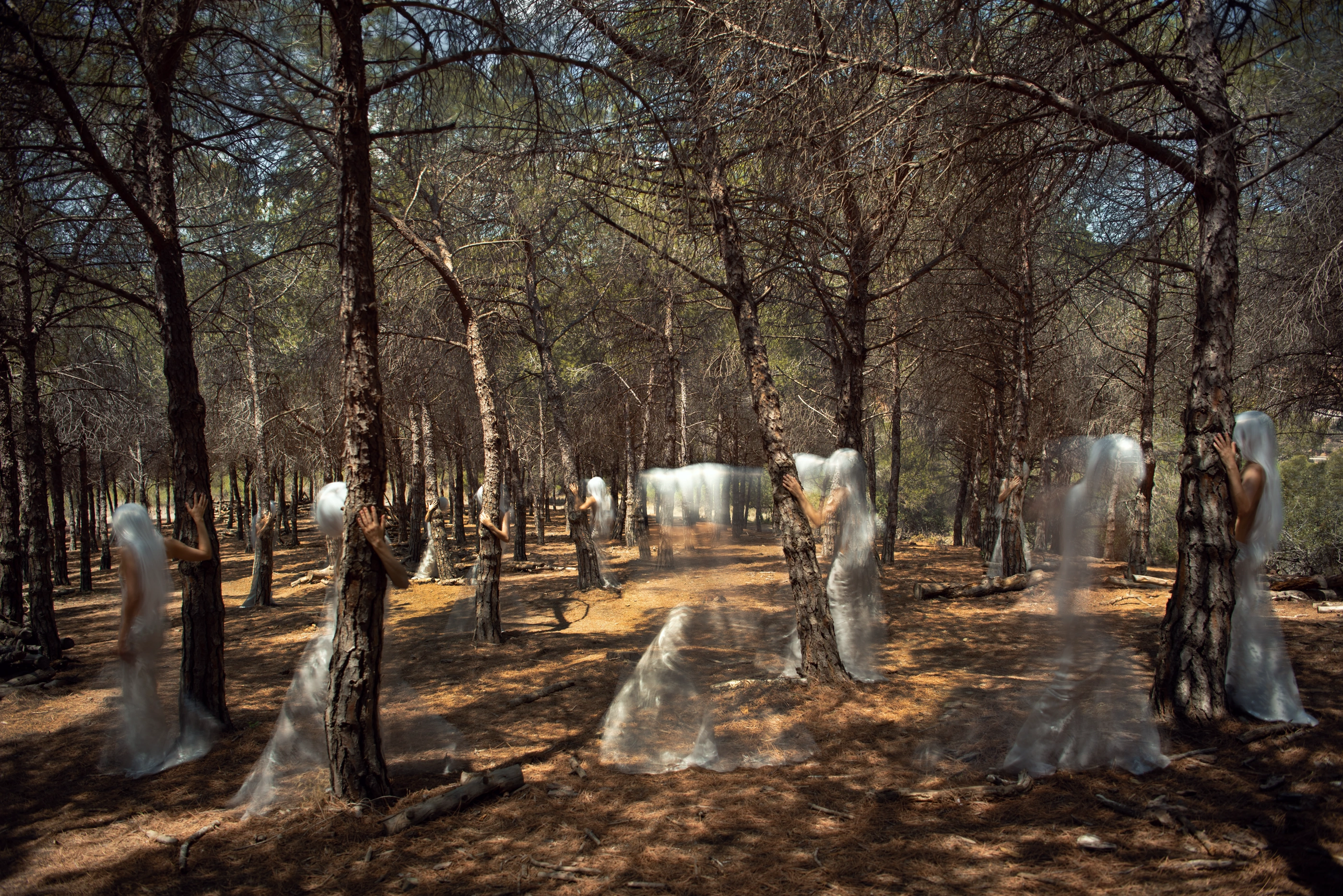 Whisper of the Forest frame 01