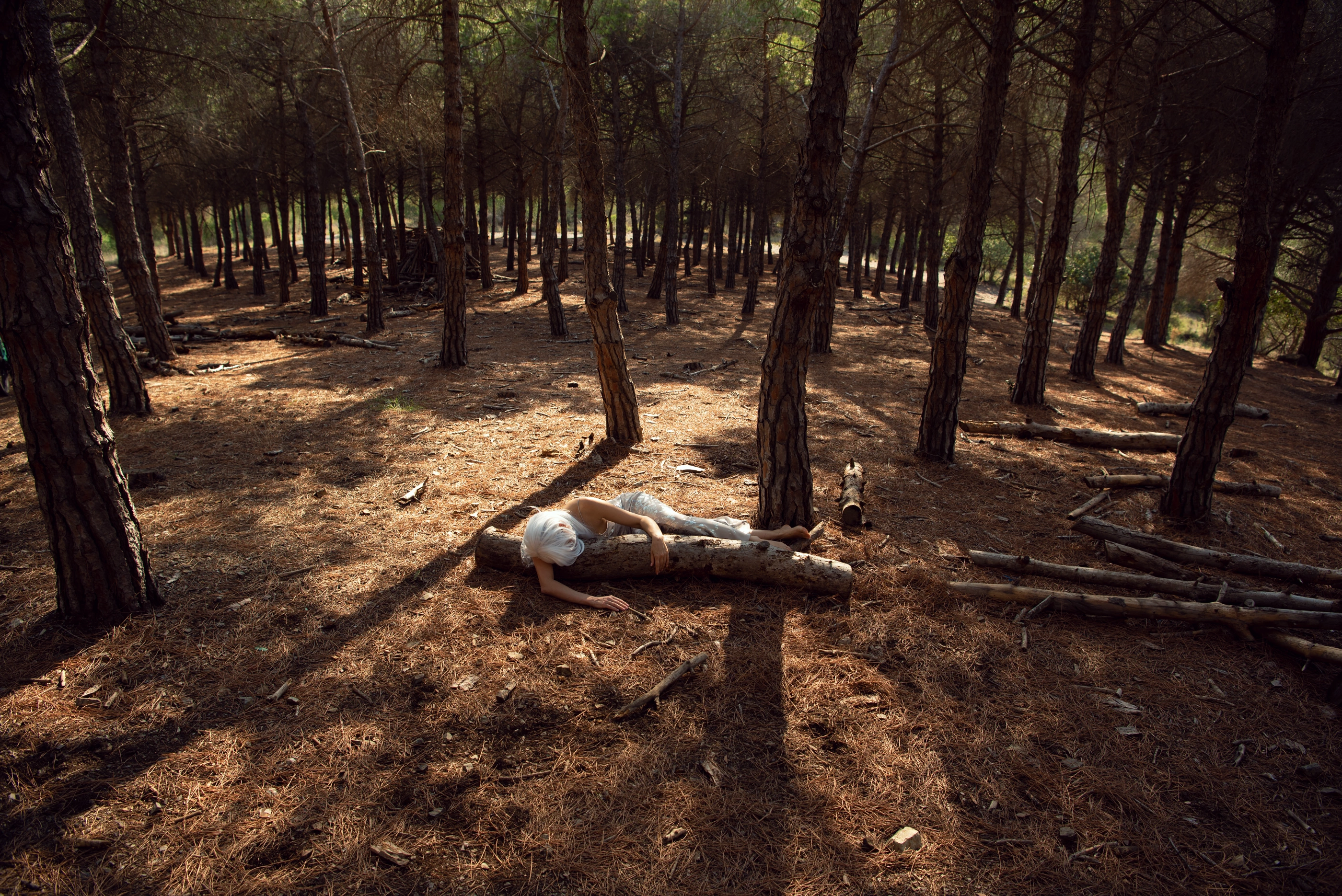 Whisper of the Forest frame 03