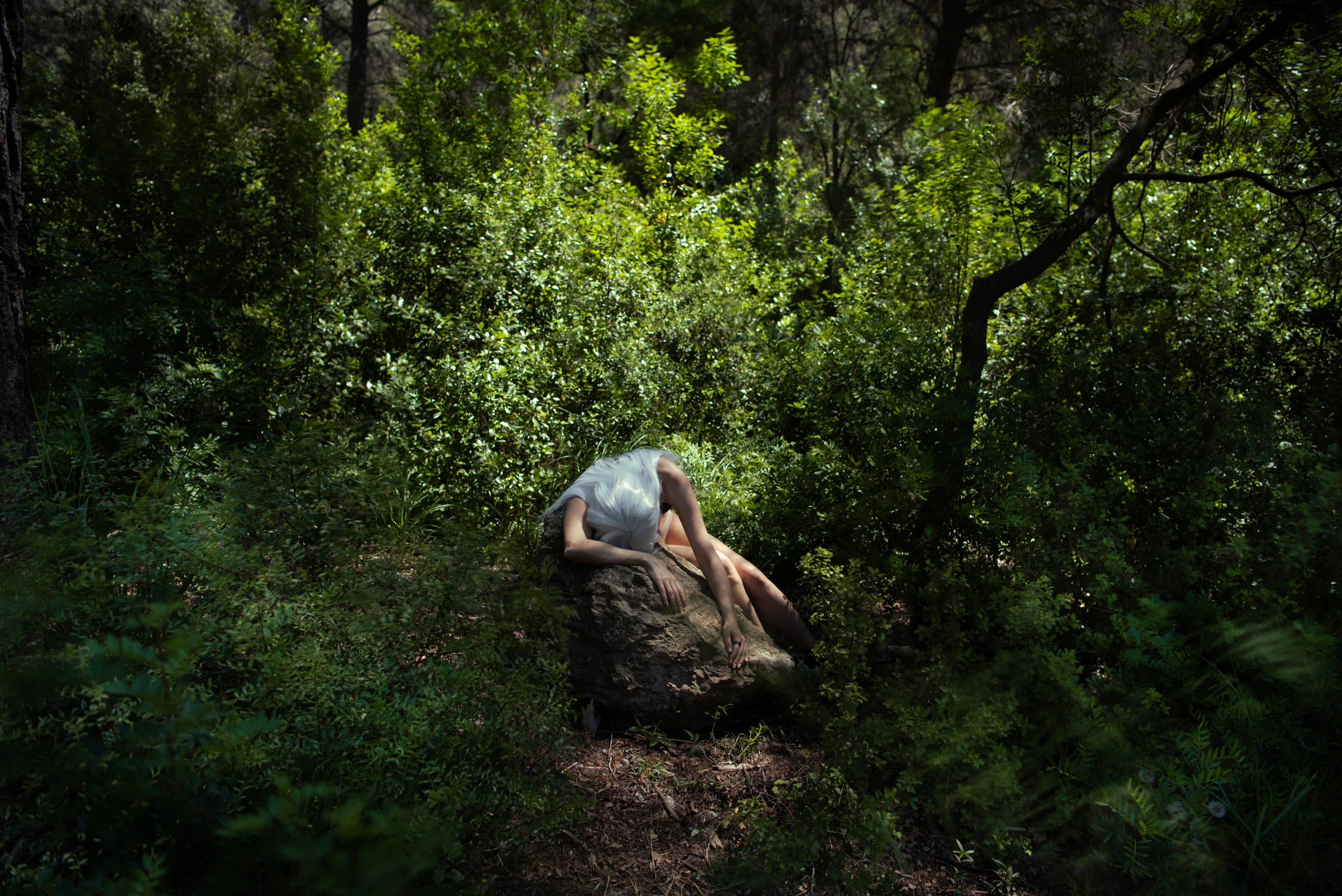 Whisper of the Forest frame 04