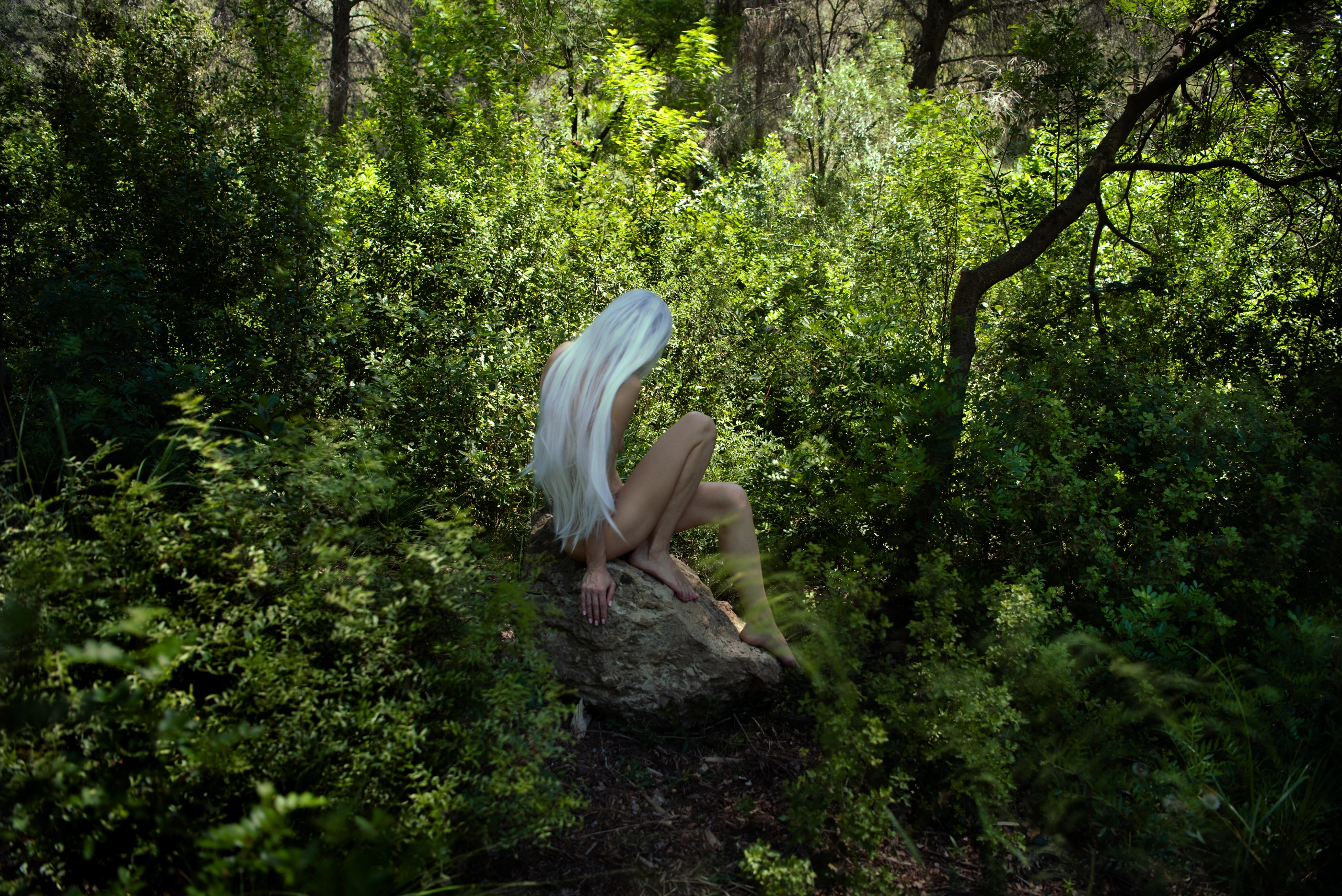 Whisper of the Forest frame 05