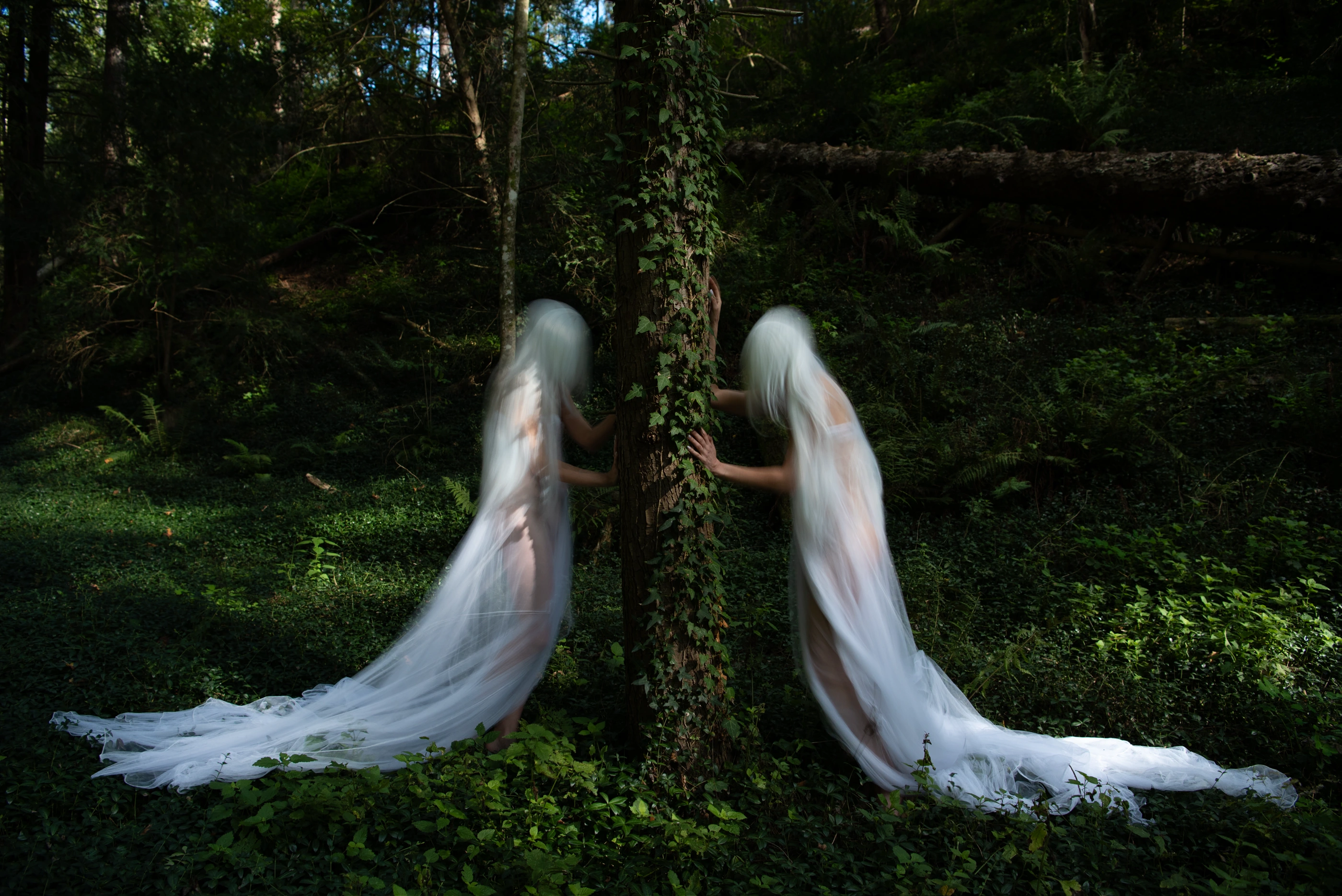 Whisper of the Forest frame 09