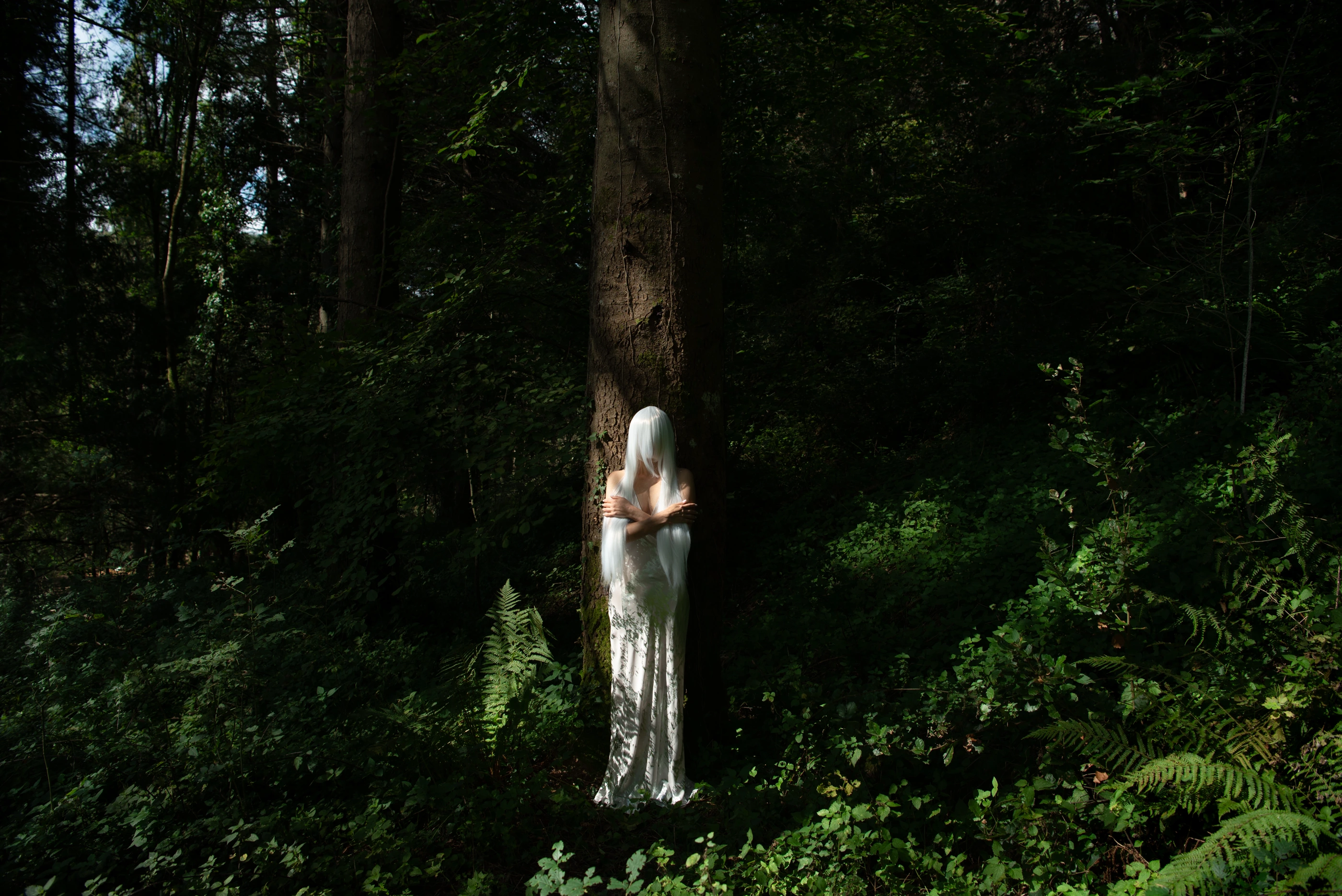 Whisper of the Forest frame 11