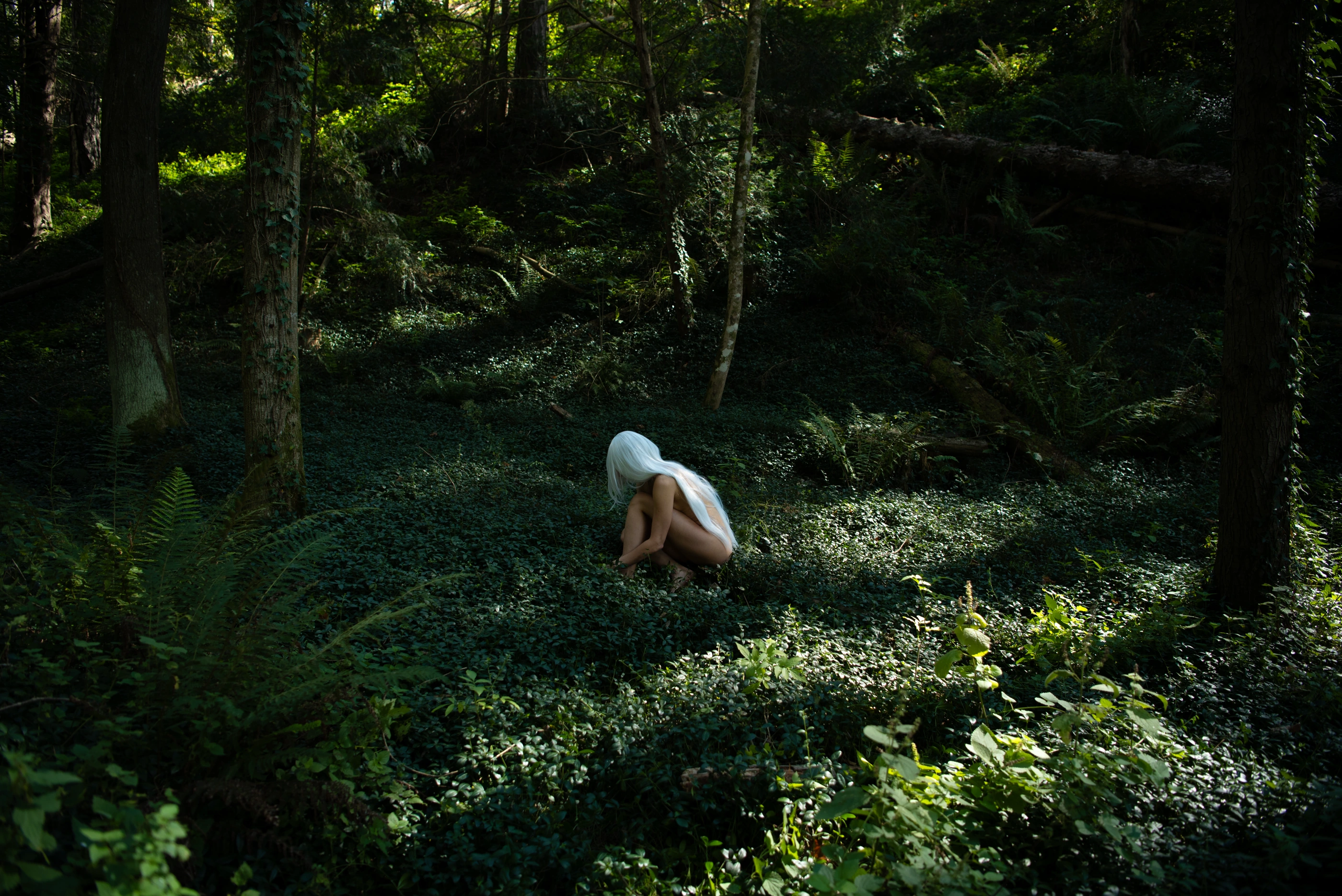 Whisper of the Forest frame 12