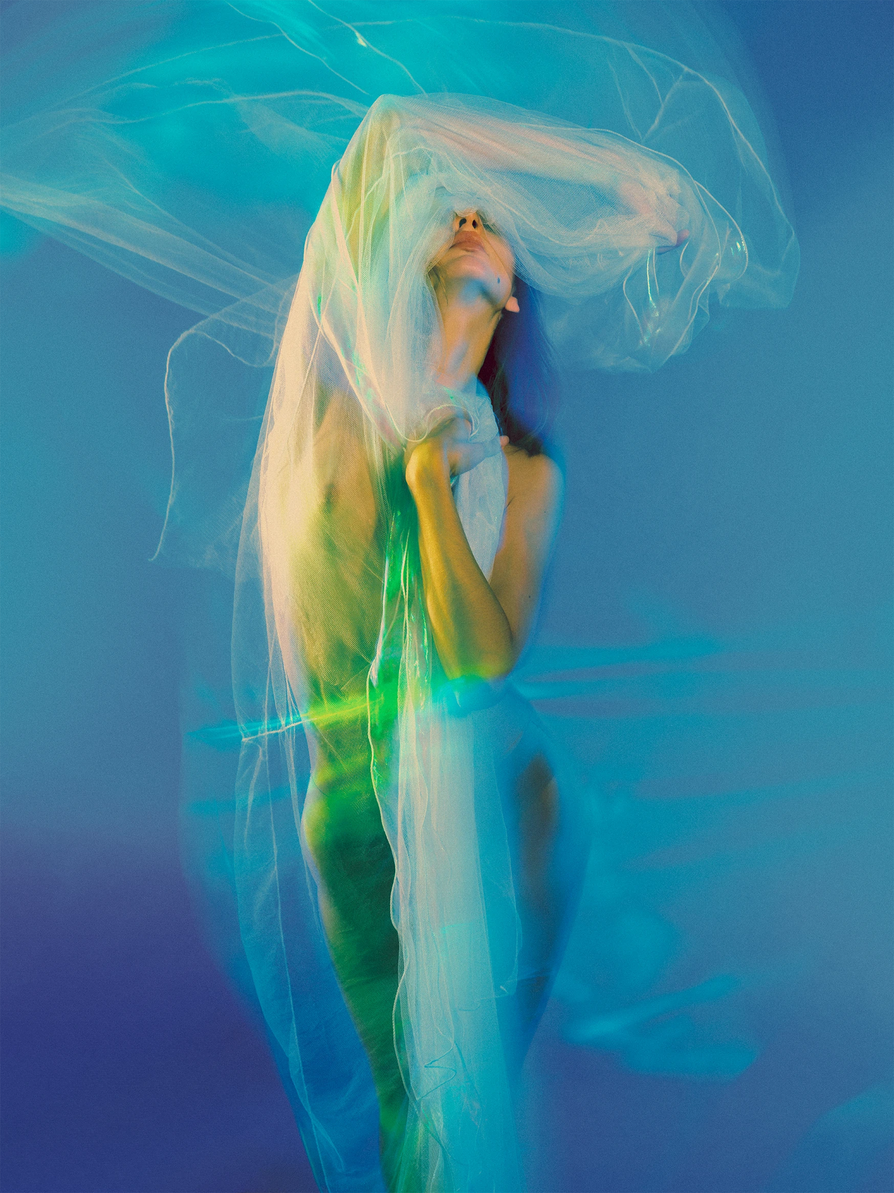 Cover image from Veiled